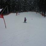 phoca_thumb_m_lyovn - zvody 7.2.  28 Fotogalerie